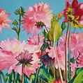 Dahlias Victoria
