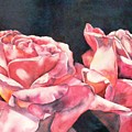 watercolor roses