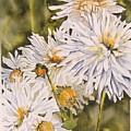 White Dahlias