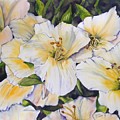 Daylilies